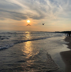 Meet your Posher, Jo